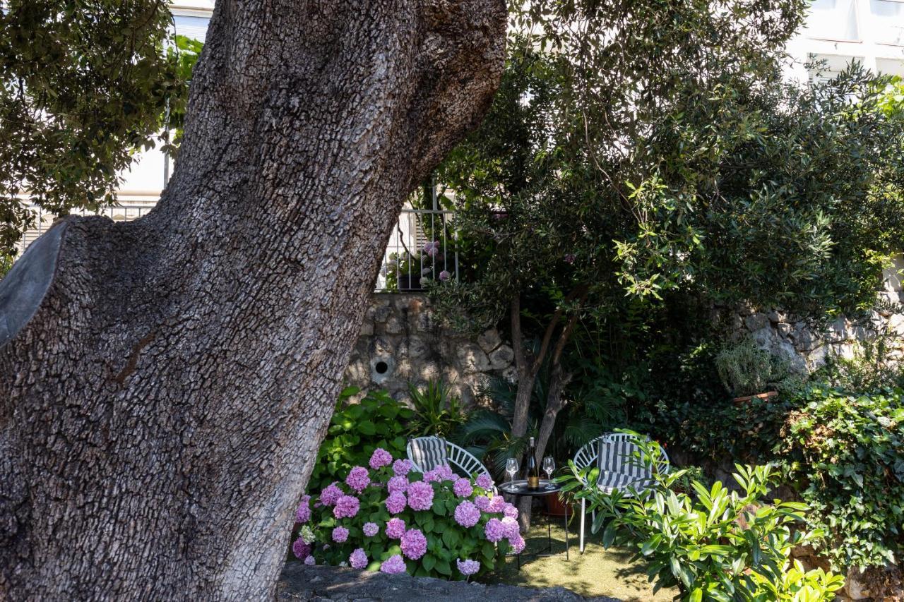 Studio And Room Lena Dubrovnik Ngoại thất bức ảnh